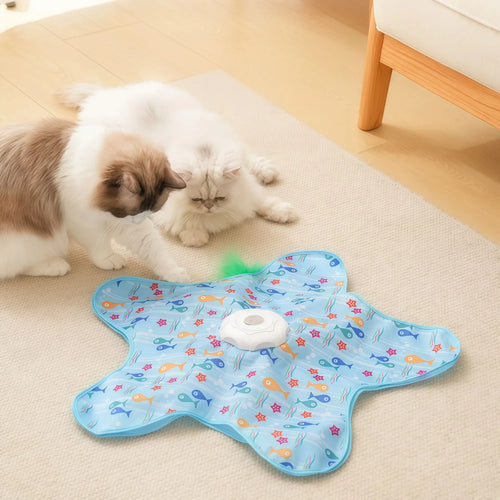 jeu de chat