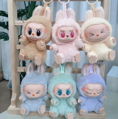 Box 6 Labubu