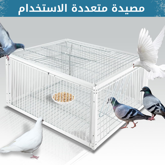 Piège à pigeons