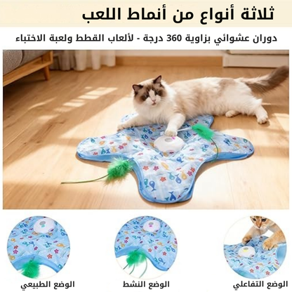 jeu de chat